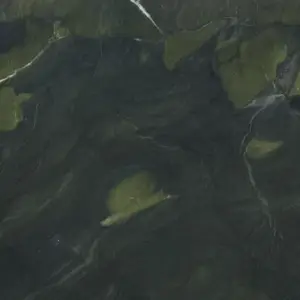 AVOCATUS